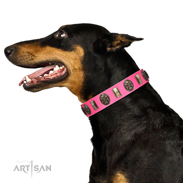 Walking pink Doberman collar with unique set of decorations