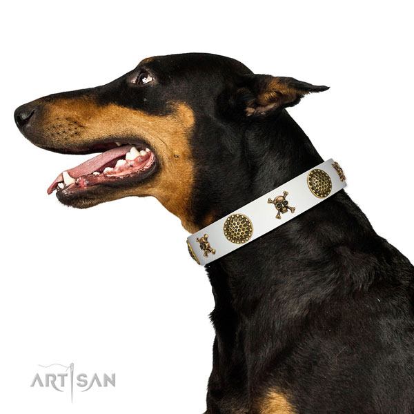 Delux walking white leather Doberman collar with charming decorations