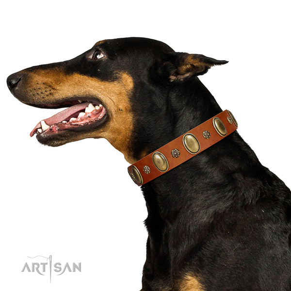 FDT Artisan Stylish Leather Doberman Collar with Embellishments