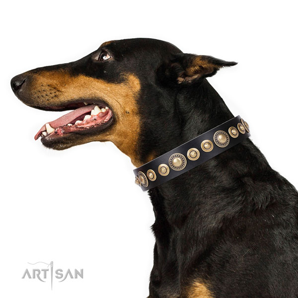 Doberman easy wearing leather dog collar with decorations