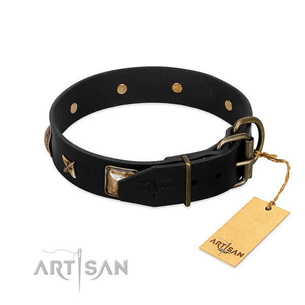 Sturdy Dog Collar Equipped with Reinforced with Studs Hardware