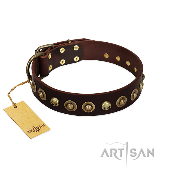 Long Servicing Leather Dog Collar with Gold-like Decorations