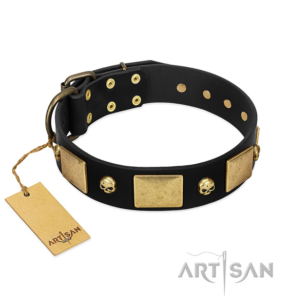 Selected Leather Dog Collar of Best Quality