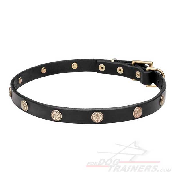 Leather Dog Collar with Engraved Studs