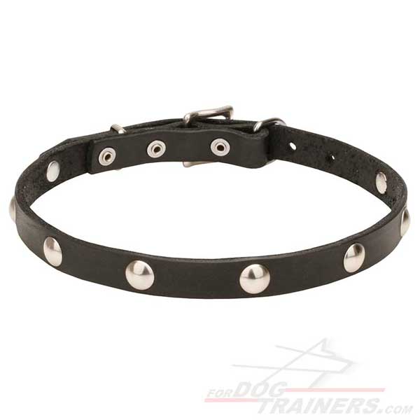 Strong Dog Collar with Chrome Plated Studs