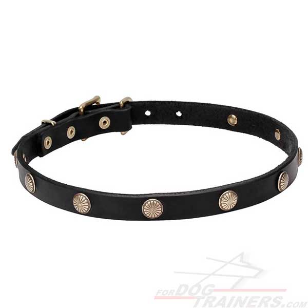 Leather Dog Collar with Rustproof Studs