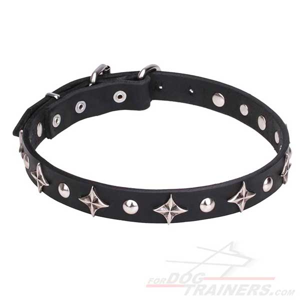 Trendy Dog Collar with Silver-Like Decor