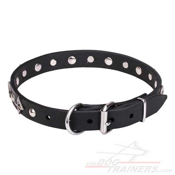 Designer Leather Dog Collar with Chrome Plated Hardware