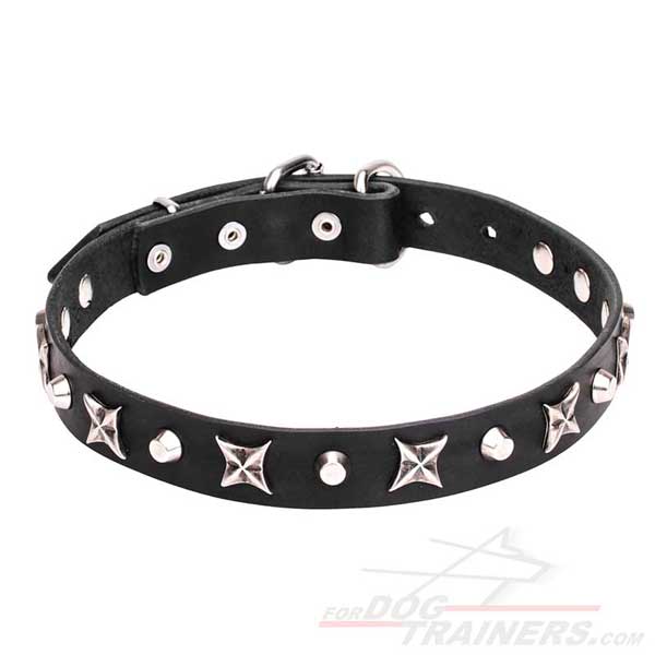 Stylish Dog Collar with Silver-Like Decor