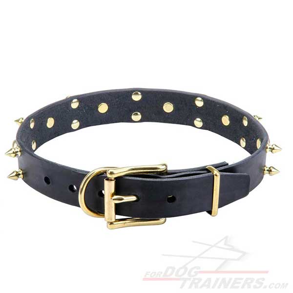 30 mm Leather Collar for Dog Walking and Training
