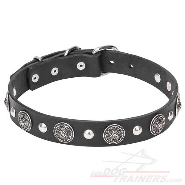 Dog Collar with Rustproof Studs and Conchos