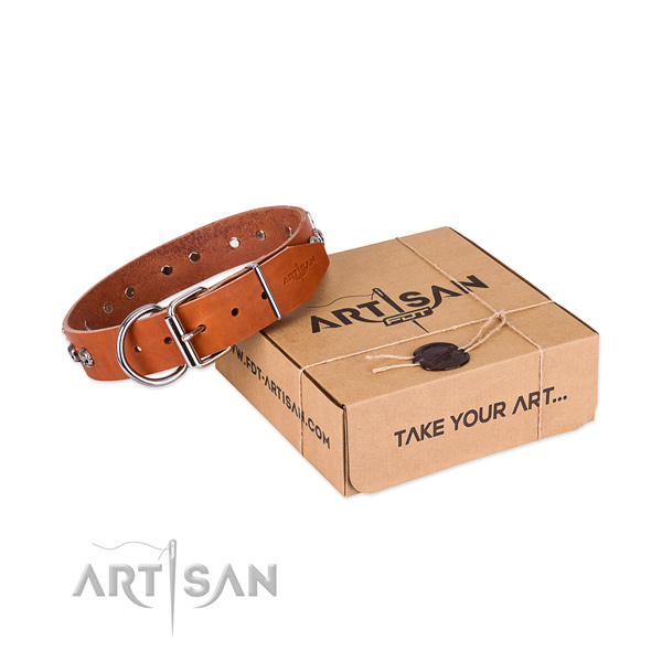 Tan Top Quality Dog Collar of Artisan Design