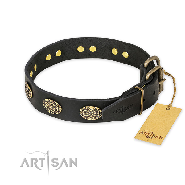 Black Leather Dog Collar Decorated with Plates
