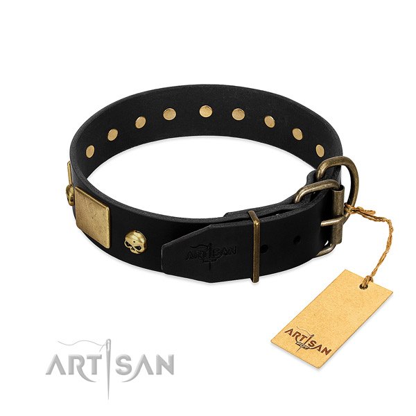 Black Dog Collar of Premium Quality