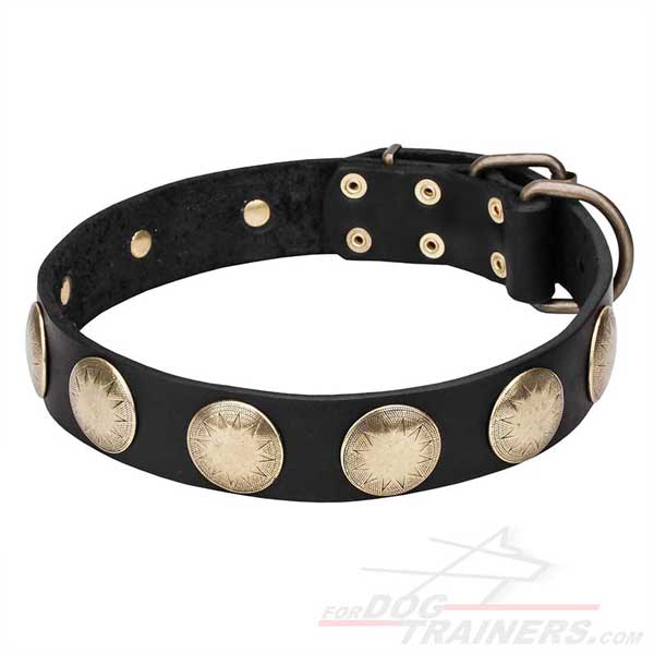 Dog Leather Collar with Gold-like Fittings