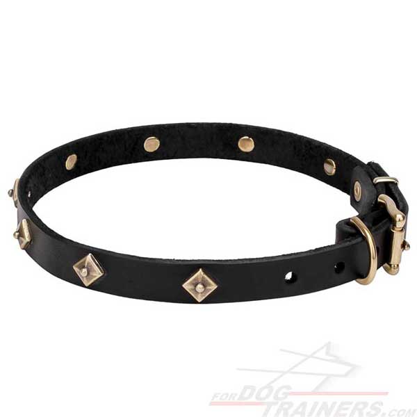 Canine Leather Collar with Brass Studs