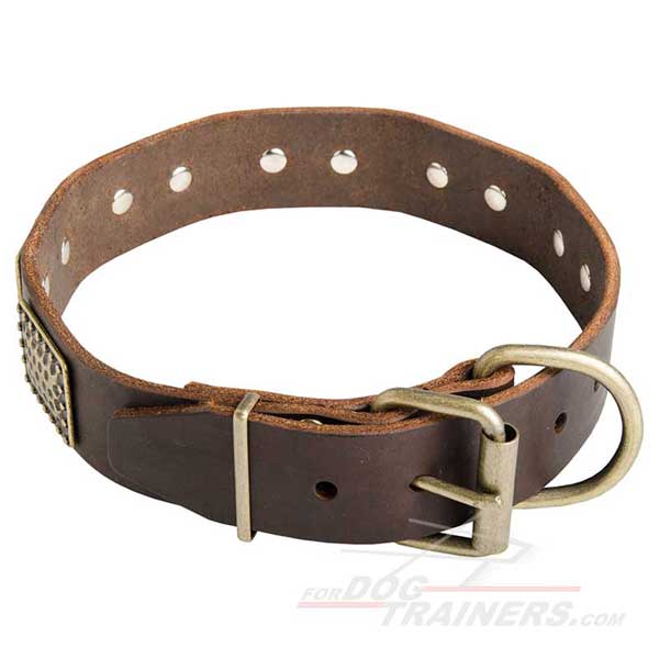 Leather Walking Dog Collar Brass Harware Decorated