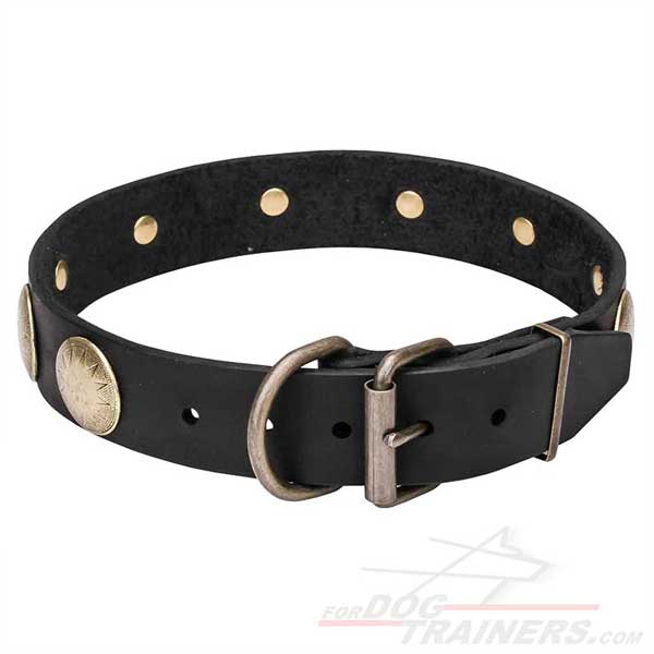 Dog Leather Collar with Brass-plated Hardware