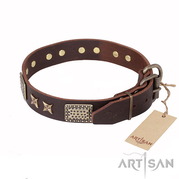 Brown Leather Dog Collar Decorated with Plates and Stars