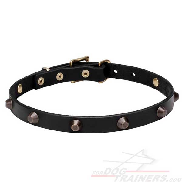 Dog Leather Collar with Brass Plated Cones