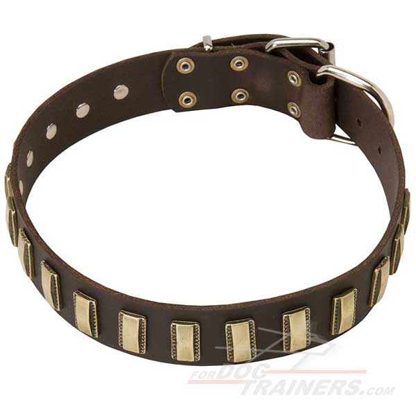 Decorated Leather Dog Collar with Brass Vertical Plates