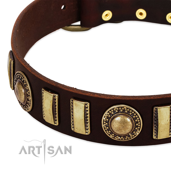 Unique Leather Dog Collar Adorned with Bronze-like Plated Adornments