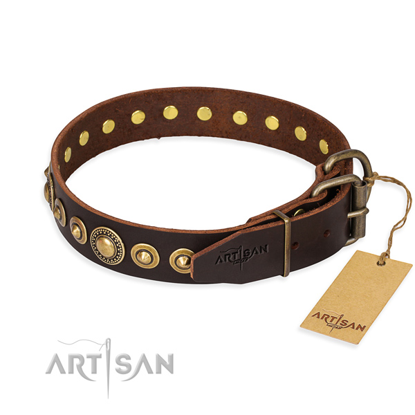 Trendy Dog Collar Equipped with Durable Hardware