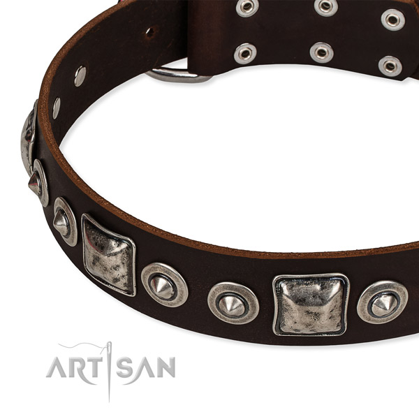 Trendy Dog Collar Made of Leather