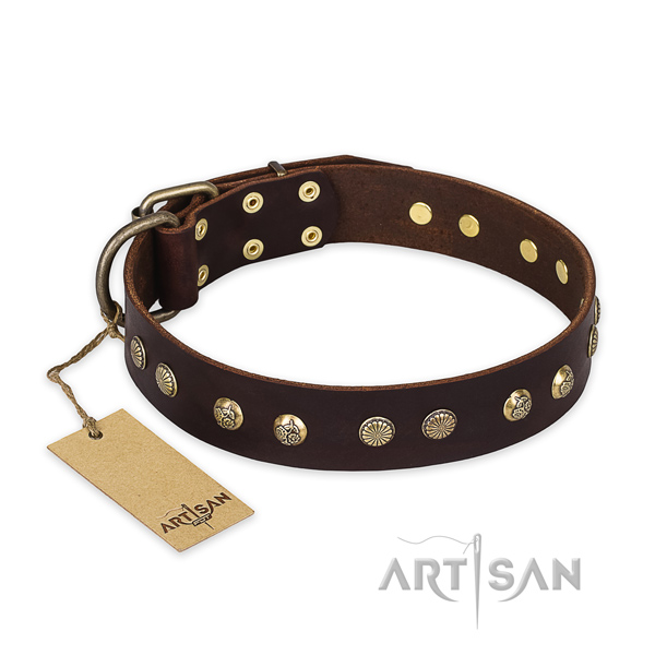 Designer Brown Leather Decorated Canine Collar