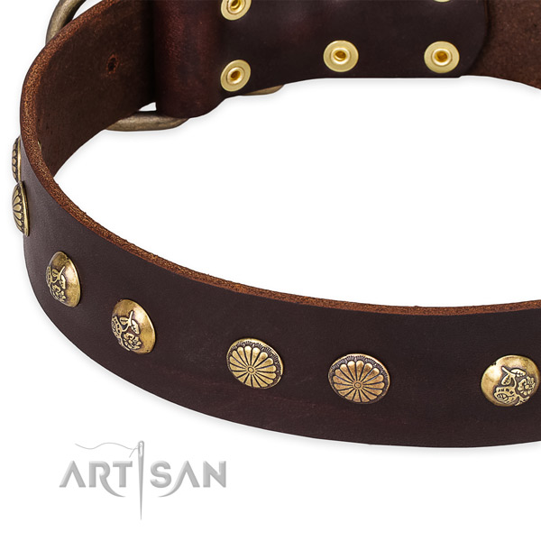 Brown Leather Dog Collar with Fancy Decorations
