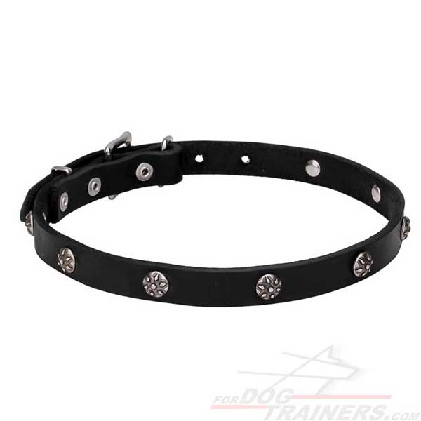 Trendy Dog Collar with Silver-Like Decor