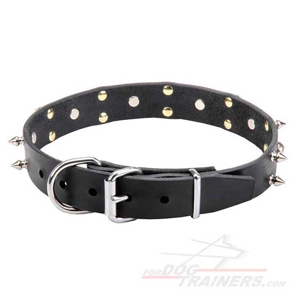 Dog Collar with Silver-Like Hardware