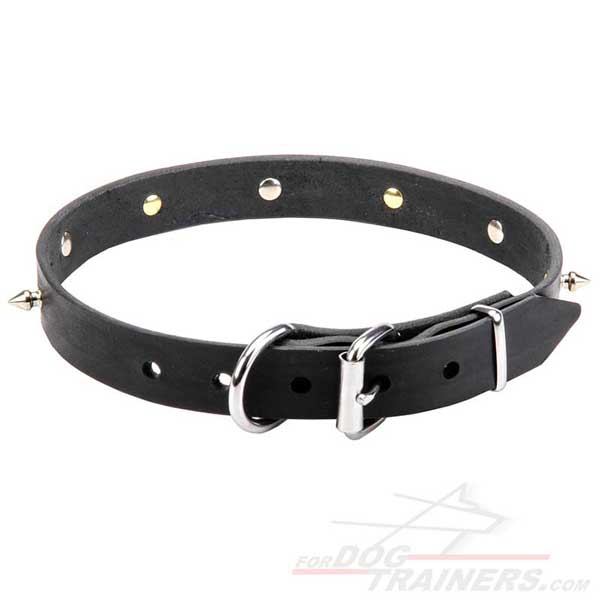Leather Dog Collar with Nickel Plated Silver-Like Hardware