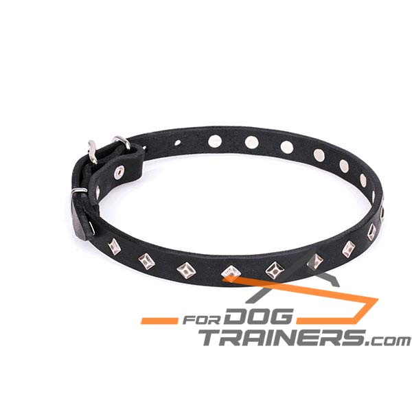 Trendy Dog Collar with Silver-Like Square Studs