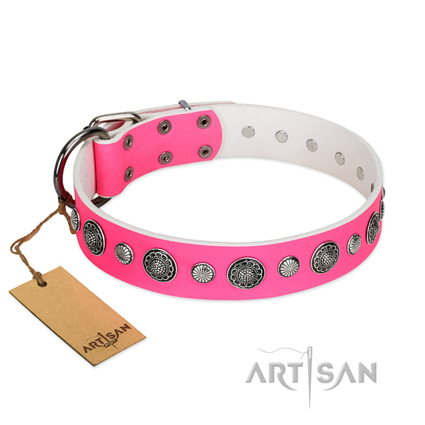 Trendy Dog Collar Equipped with Durable Hardware