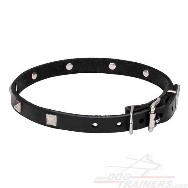 Designer Dog Collar with Chrome Plated Decorations