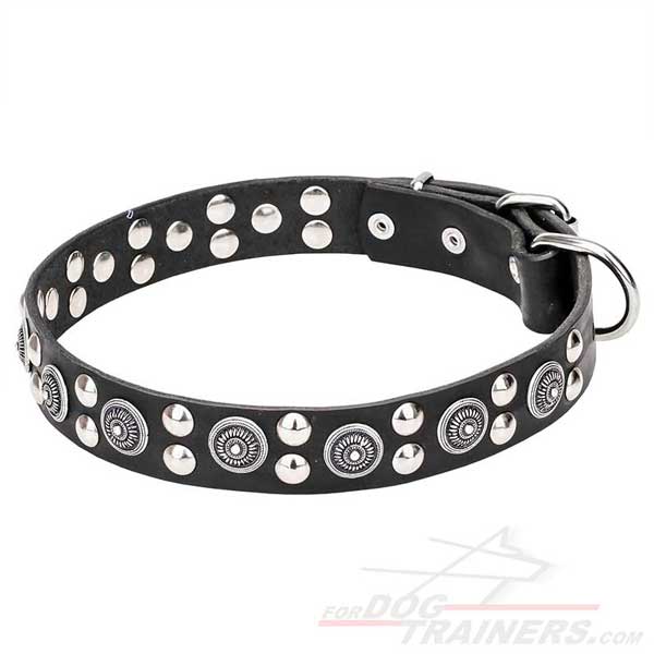 Decorated Leather Dog Collar for Stylish Walks