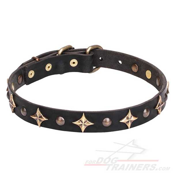 Leather Decorated Collar for Dog Walking in Style