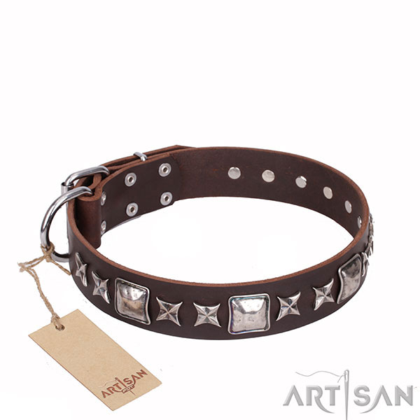 Brown Top Quality Dog Collar of Incredible Design
