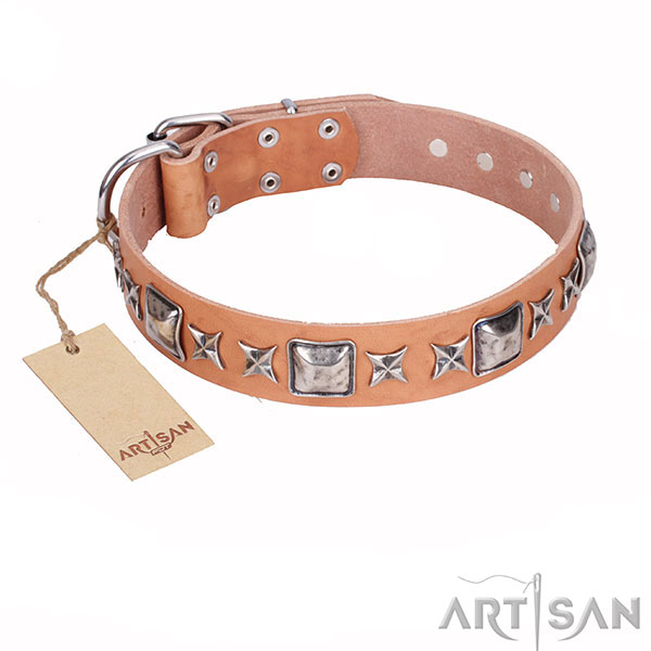 Tan Top Quality Dog Collar of Incredible Design