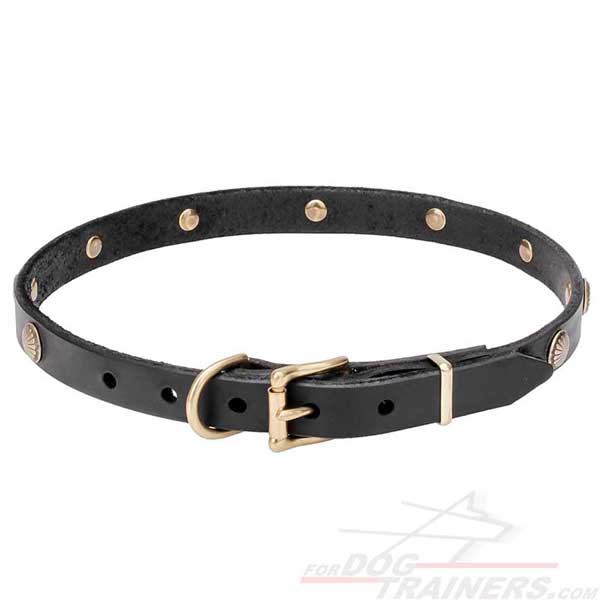 Leather Dog Collar with Brass Hardware