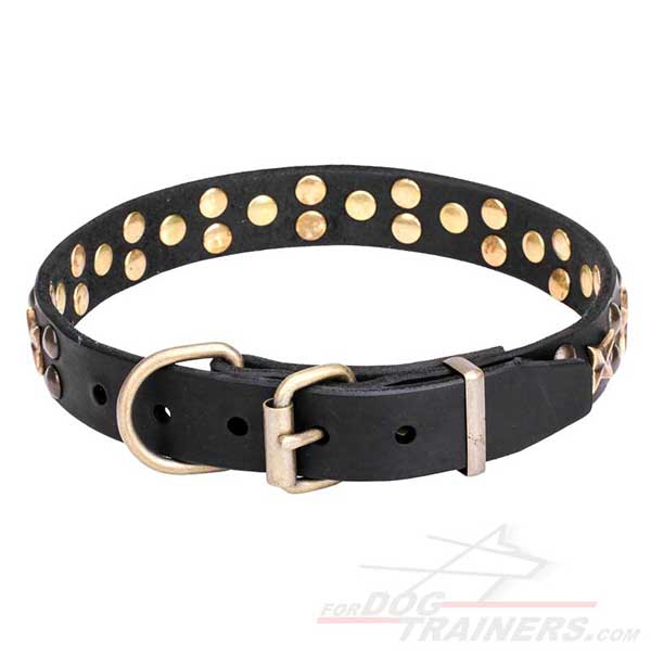 Leather Dog Collar with Brass Plated Hardware
