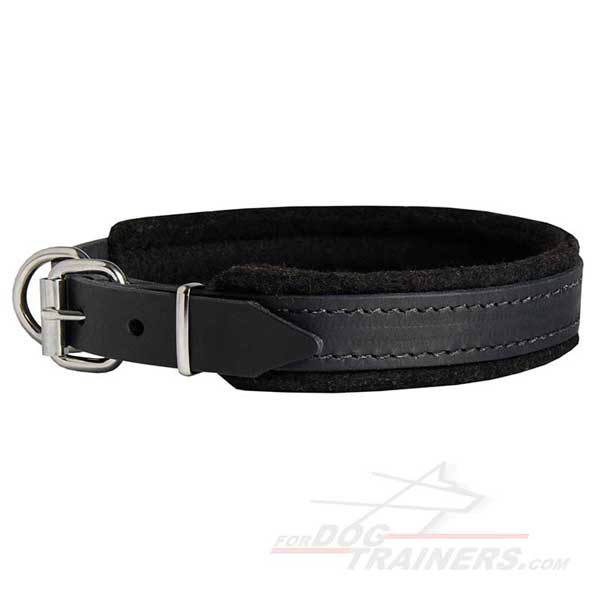 Durable Leather Dog Collar Nickel PLated Fittings