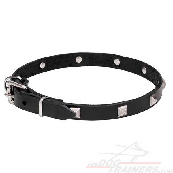 Designer Leather Dog Collar with Chrome Plated Hardware