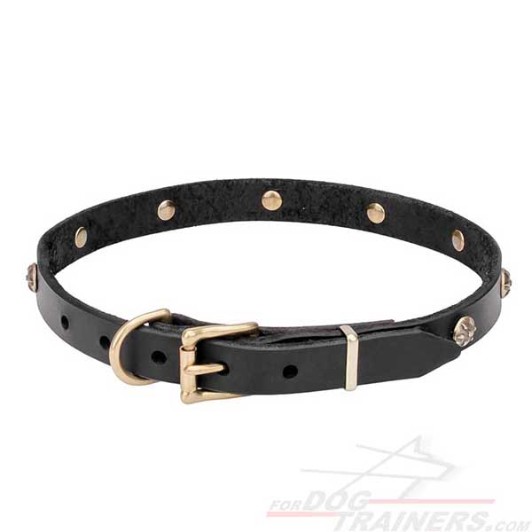 Canine Narrow Leather Collar with Brass Hardware