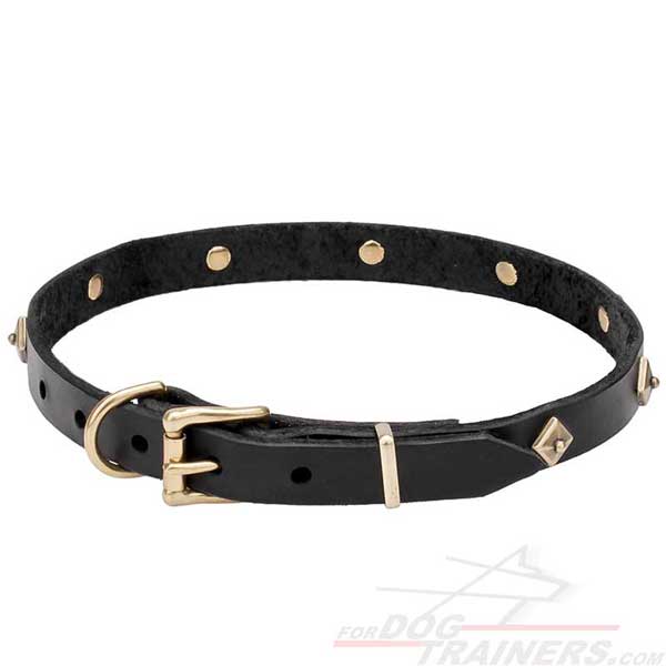 Narrow Canine Leather Collar with Brass Hardware