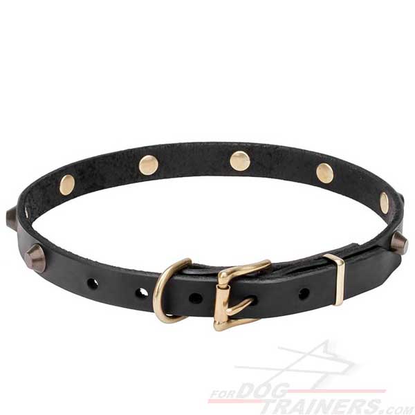 Dog Narrow Leather Collar with Brass Plated Buckle