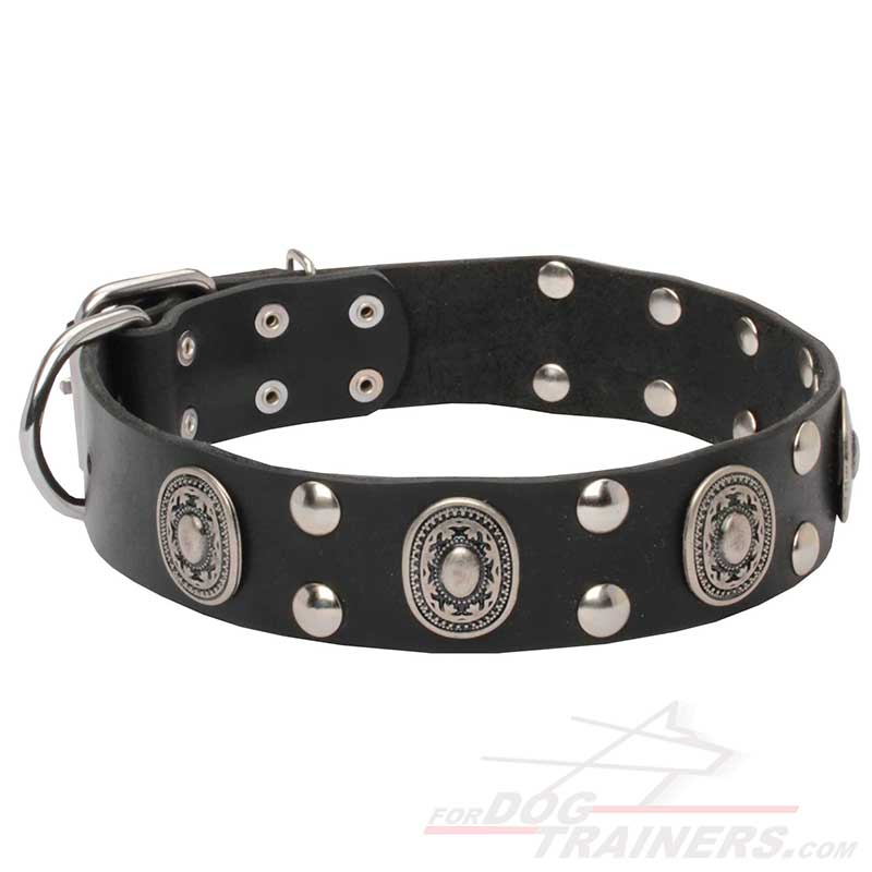 thumbnail interactive-video image 1 of Adjustable Faux Leather Studded Dog Collar With Metal Bone – Sizes XS To XL For Small-Medium-Large Dogs 1 of 6