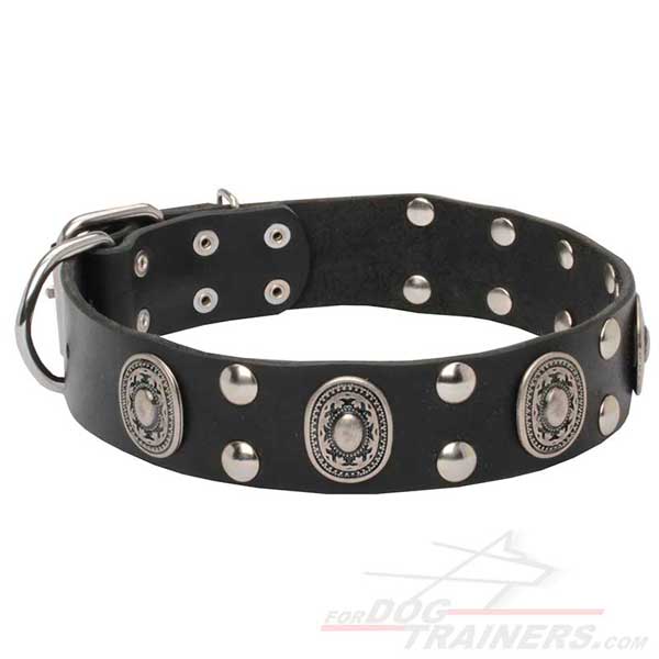 Leather Dog Collar Nickel and Silver-like Studded for Walking