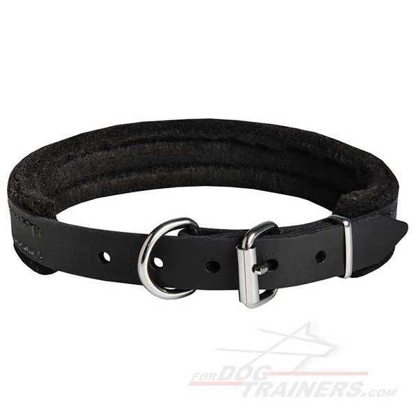 Leather Dog Collar with Strong Nickel Fittings for Training